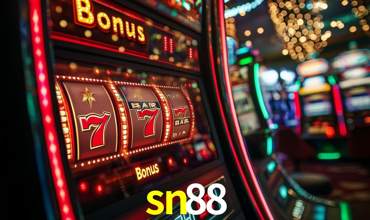 sn88.com
